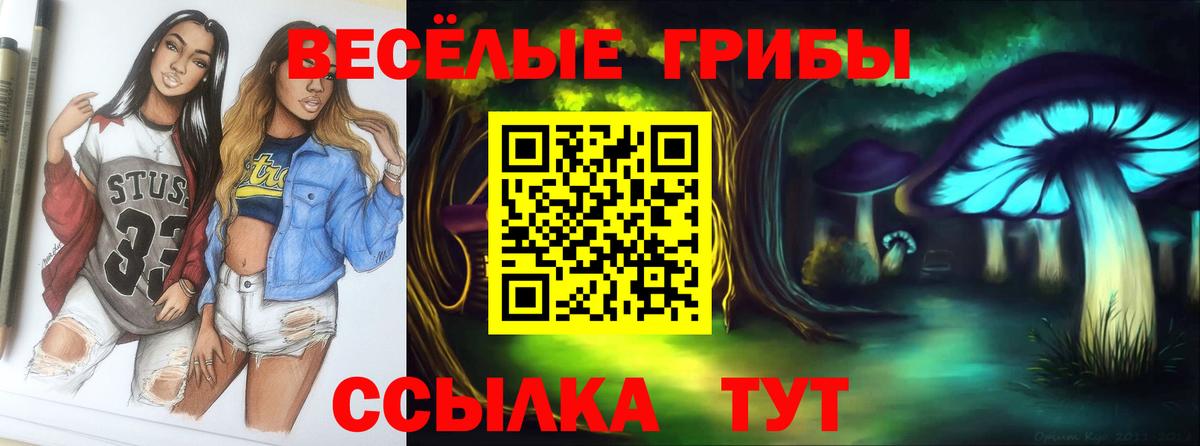 Псилоцибиновые грибы Psilocybe  Вход с VPN  Алушта 
